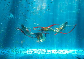 Discover Vin Wonders - Grand World - 1 Day - Join Group Tour