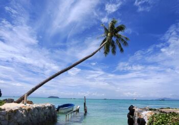 Cham Island - Cu Lao Cham - Half Day - Join Group Tour