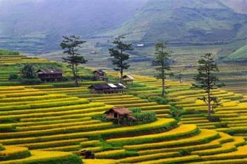 Hanoi - Sapa - 3 Days - Private Tour