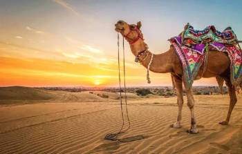 Rajasthan Tour Itinerary 8 Nights - 9 Days