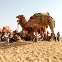 Desert Safari Rajastan Tour