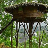Kerala with Treehouse Stay Tour
