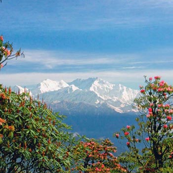 Gangtok Kalimpong Darjeeling Tour