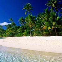 Andaman Holiday Tour Package 3N/4D Flight To Flight From Chennai