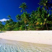 Andaman Holiday Tour Package 3N/4D Flight To Flight From Calcutta