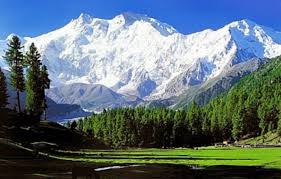 Best Of Kashmir 8 Days Tour