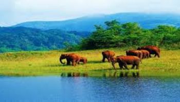 Cochin - Guruvayur - Kaladi - Munnar – Thekkady - Alleppey Houseboat - Cochin 06 Days / 05 Nights
