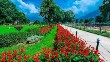 Kashmir Panorama Package