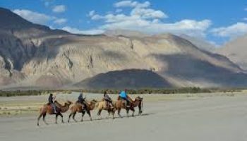 Enchanting Ladakh Tour with Nubra Valley & Pangong Lake
