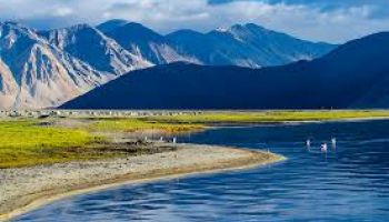 Enchanting Ladakh Tour with Nubra Valley & Pangong Lake