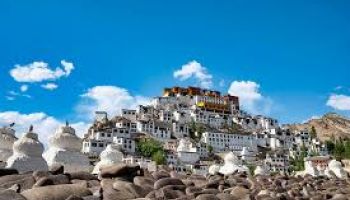 Enchanting Ladakh Tour with Nubra Valley & Pangong Lake