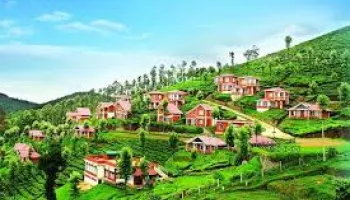 Royal Mysore & Scenic Ooty Tour with Coimbatore
