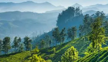 Royal Mysore & Scenic Ooty Tour with Coimbatore