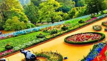 Royal Mysore & Scenic Ooty Tour with Coimbatore