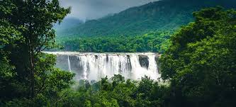 Kerala - Cochin - Munnar - Thekkady - Alleppy : 6 Days - 5 Nights Tour