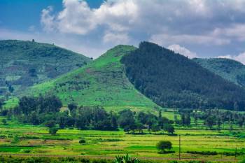 Visakhapatnam – Araku – Lambasingi Tour Package