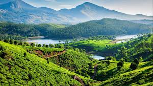 Gods Own Country – Kerala Special Tour (5D/4N)