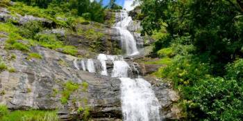 Gods Own Country – Kerala Special Tour (5D/4N)