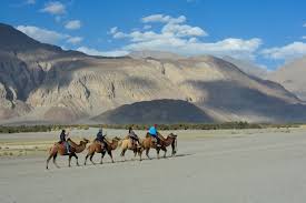 Magical Ladakh with Pangong Lake