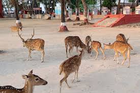 Andaman Islands Tour