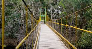 Royal Karnataka Explorer Coorg–Mysore Special