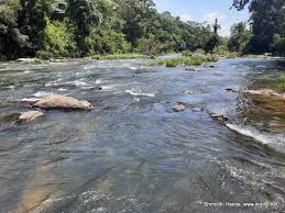 Royal Karnataka Explorer Coorg–Mysore Special