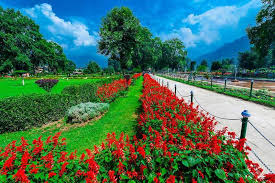 Enchanting Kashmir Escape