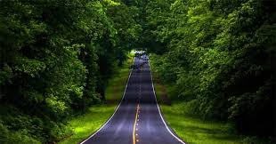Coorg–Wayanad Nature Paradise Tour