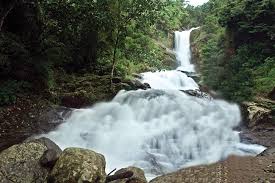 Coorg–Wayanad Nature Paradise Tour