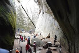 Coorg–Wayanad Nature Paradise Tour