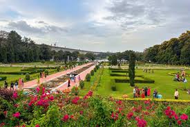 Coorg–Wayanad Nature Paradise Tour