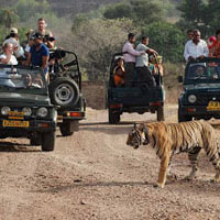 Golden Triangle with Tiger Safari Tour