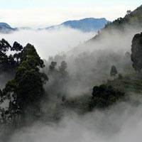 Bangalore, Ooty, Mysore & Kodaikanal Package