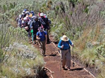 Mount Kilimanjaro Marangu Route Tour