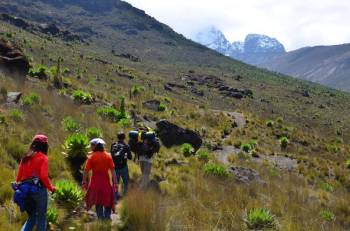 Mount Meru Trek Tour