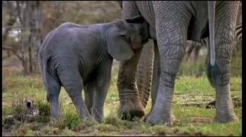 Aberdares to Samburu Safari