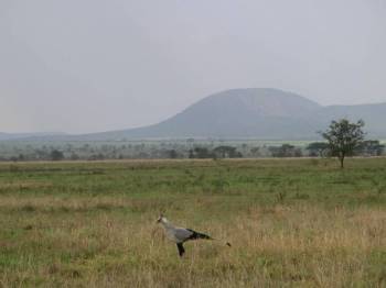 Tanzania Budget Camping Safari