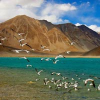 Fly Ladakh Every Day Tour