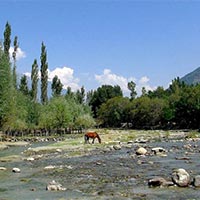 Jammu - Pahalgam - Vaishno Devi - Srinagar Tour