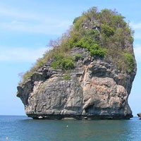 Havelock - Baratang - Niel Island Tour