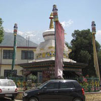 Yoga & Himalayan Trekking Tour To Dharamsala.