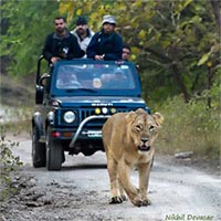 Gujarat - Wild Life Tour