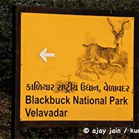 Gujarat - Wild Life Tour
