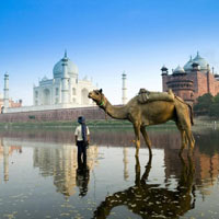 Madhya Pradesh Heritage, Taj & Tiger Tour 