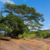 Marvels of Mauritius Tour