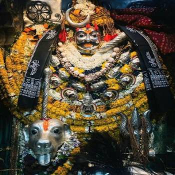 4 Night / 5 Days Navaratri Special
