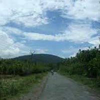 Packages in South Andaman