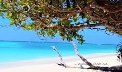 Andaman Holiday Tour Packages