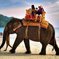 Couple Package (3 N Port Blair + Havelock Sameday)