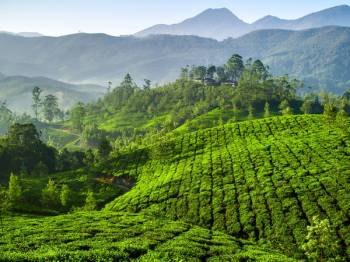 Students Munnar / Athirampalli Tour